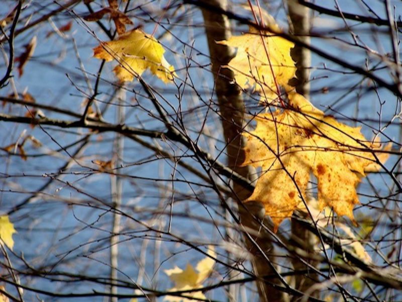 Trouver un appui dans le lâcher-prise